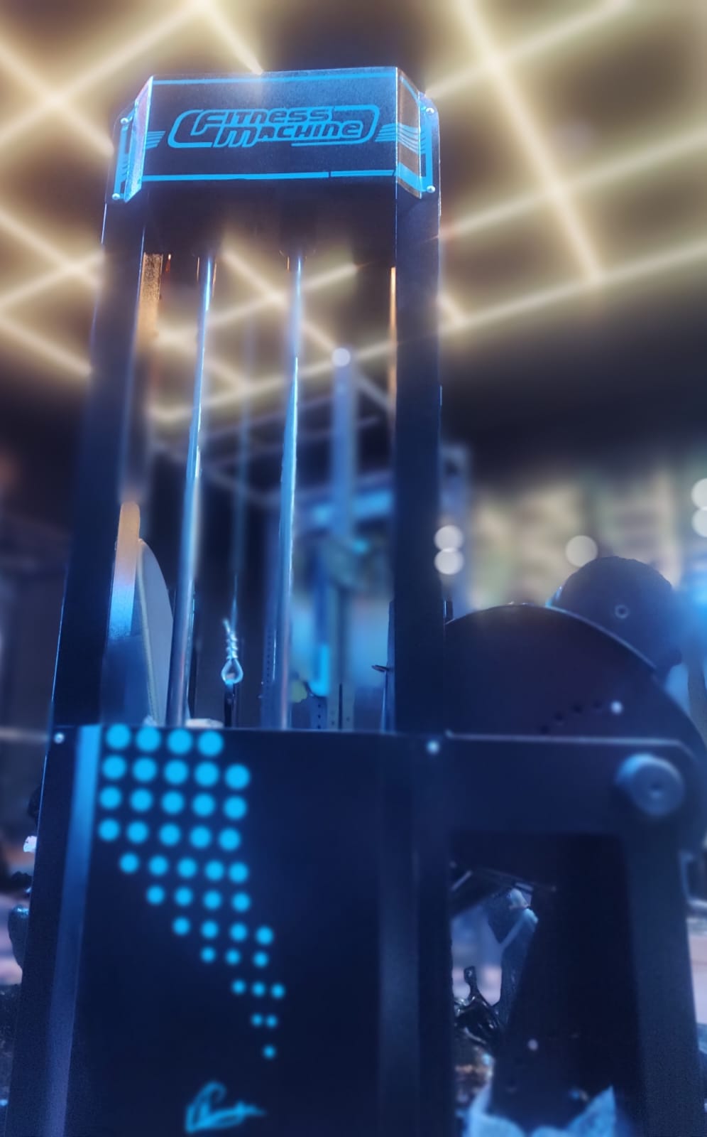 Equipamiento funcional y máquinas del gimnasio Magnus Fitness